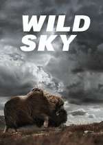 Watch Wild Sky M4ufreemovies