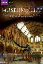 Watch BBC Museum of Life M4ufreemovies
