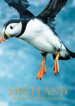 Watch Shetland: Scotland's Wondrous Isles M4ufreemovies