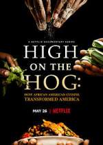 Watch High on the Hog: How African American Cuisine Transformed America M4ufreemovies