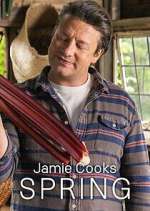 Watch Jamie Cooks Spring M4ufreemovies