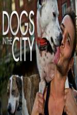 Watch Dogs in the City M4ufreemovies