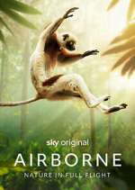 Watch Airborne M4ufreemovies