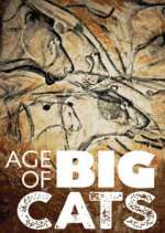 Watch Age of Big Cats M4ufreemovies