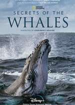 Watch Secrets of the Whales M4ufreemovies