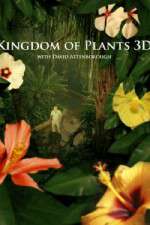 Watch Kingdom of Plants 3D M4ufreemovies
