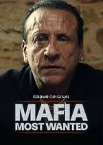 Watch Mafia: Most Wanted M4ufreemovies