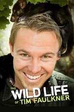 Watch The Wild Life of Tim Faulkner M4ufreemovies