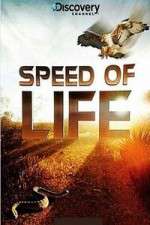 Watch Discovery Channel Speed Of Life M4ufreemovies