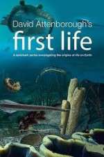 Watch David Attenborough's First Life M4ufreemovies