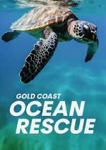 Watch Gold Coast Ocean Rescue M4ufreemovies
