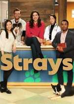 Watch Strays M4ufreemovies