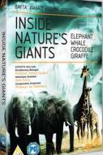 Watch Inside Nature's Giants M4ufreemovies