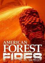 Watch American Forest Fires: The Untold Story M4ufreemovies