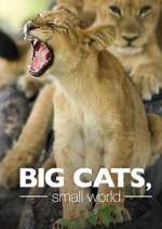 Watch Big Cats, Small World M4ufreemovies
